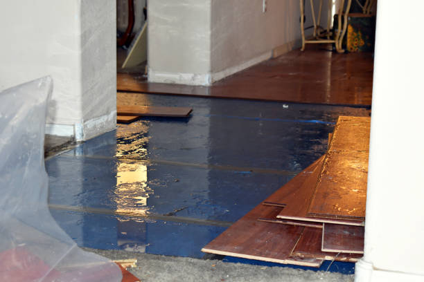 Professional Flood Damage Restoration technician working in Dennison, MN
